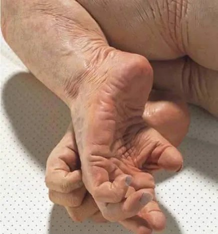 猪人是真的吗：关于猪人报道真相揭秘（图）