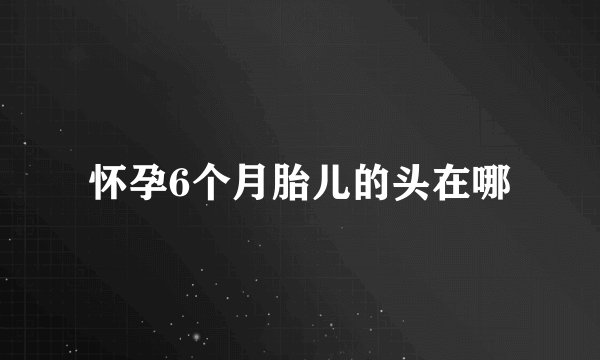 怀孕6个月胎儿的头在哪