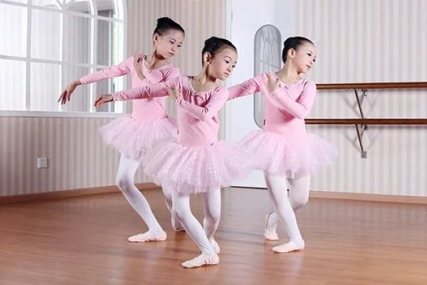 单色舞蹈学校怎样?