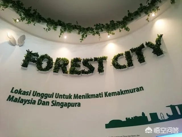 碧桂园森林城市到底是一个什么样的项目?