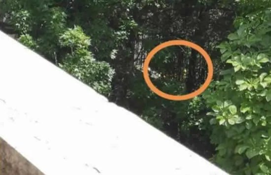 4600万买的别墅院外就是坟头 现场画面曝光令人震惊！