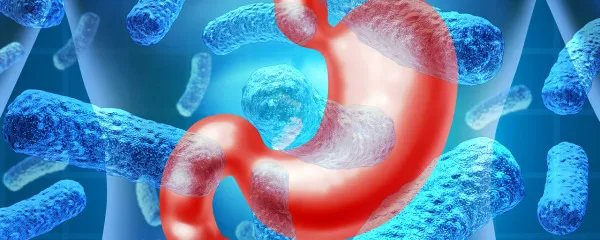 胃疼吃什么食物好