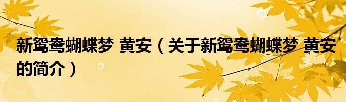 新鸳鸯蝴蝶梦 黄安（关于新鸳鸯蝴蝶梦 黄安的简介）