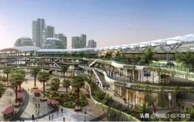 碧桂园森林城市到底是一个什么样的项目?