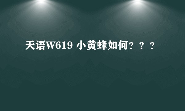 天语W619 小黄蜂如何???