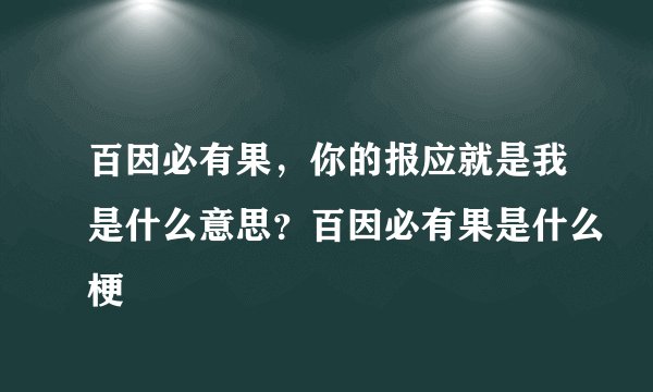 百因必有果,你的报应就是我是什么意思?百因必有果是什么梗
