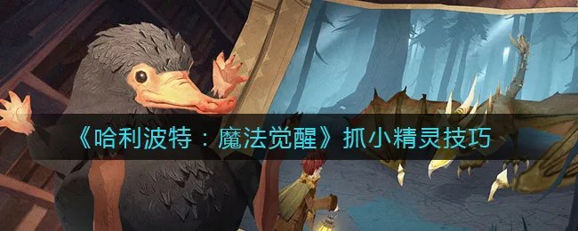《哈利波特：魔法觉醒》抓小精灵技巧