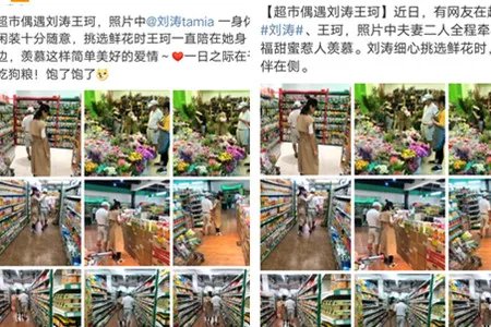 超市偶遇刘涛王珂 牵手购物十分低调