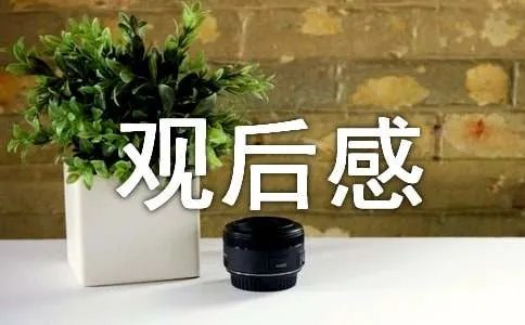 《灵魂摆渡黄泉》观后感