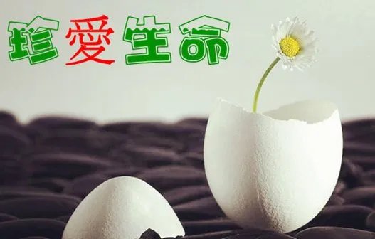 29岁妈妈将4岁女儿扔下11楼跟着跳楼身亡是怎么回事？