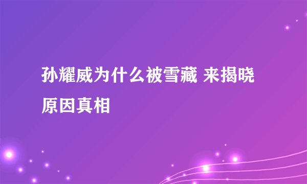 孙耀威为什么被雪藏 来揭晓原因真相