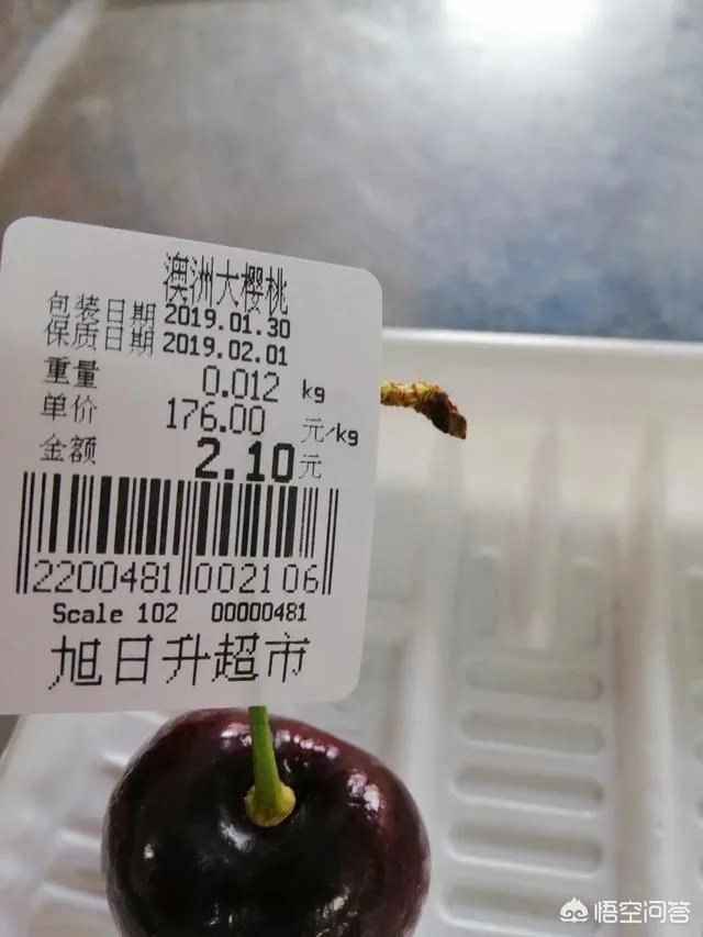 车厘子和樱桃有什么区别？是同一种水果吗？