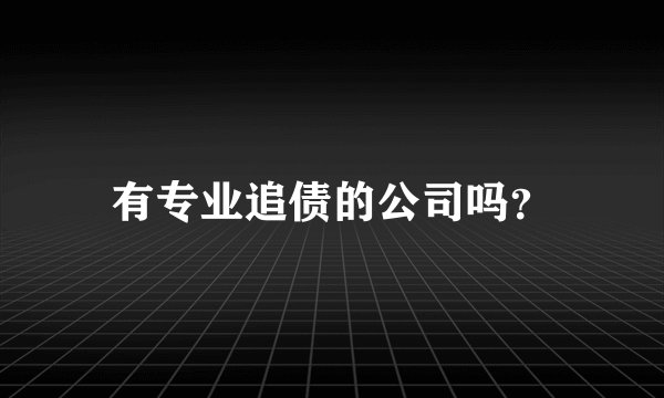 有专业追债的公司吗？
