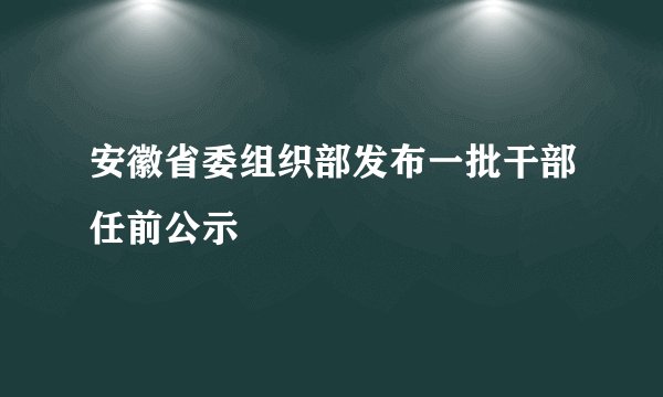安徽省委组织部发布一批干部任前公示