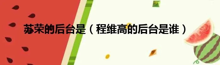 苏荣的后台是（程维高的后台是谁）