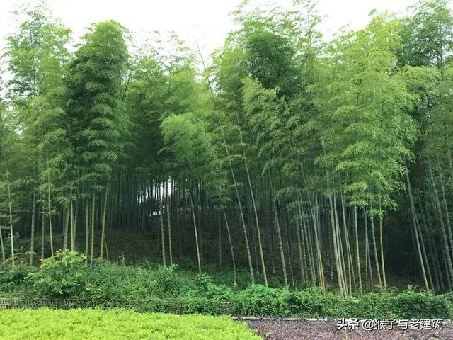 住民宿好还是酒店好?