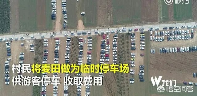 西安村民将麦田设为临时停车场收费遭质疑,你怎么看?