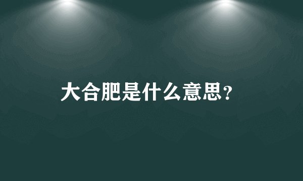 大合肥是什么意思？