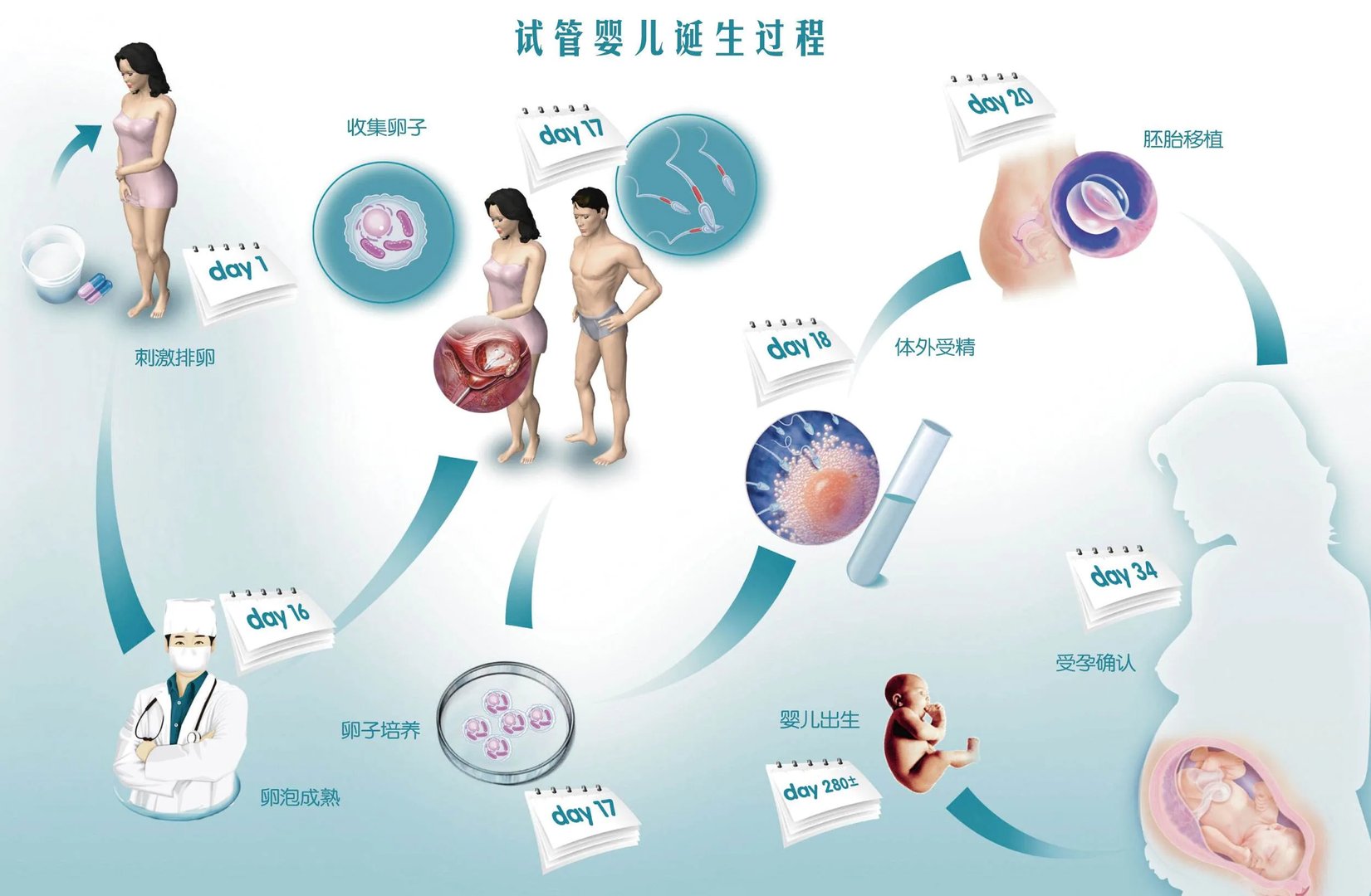 试管捐卵取卵过程-取卵程序是怎样的?