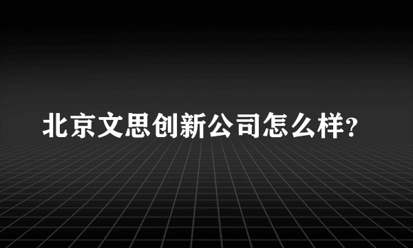 北京文思创新公司怎么样？