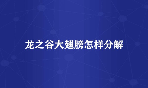 龙之谷大翅膀怎样分解