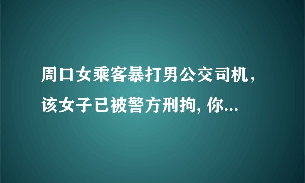 周口女乘客暴打男公交司机，该女子已被警方刑拘, 你怎么看？
