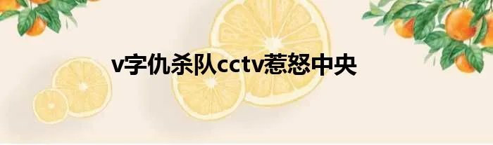 v字仇杀队cctv惹怒中央