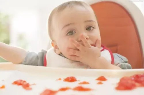 鼠宝宝的起名大全 鼠宝宝起名禁忌用字