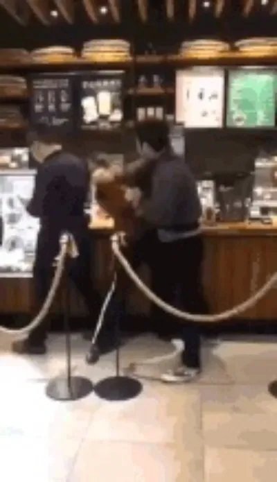 为猫爪杯大打出手什么情况：详情始末猫爪杯怎么火的