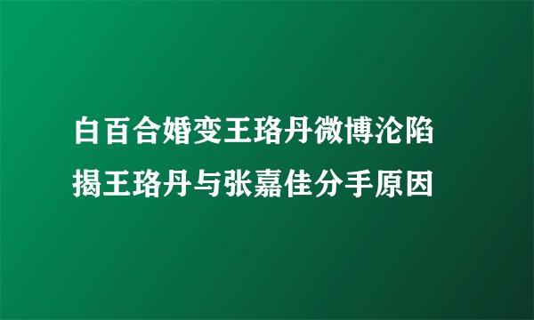 白百合婚变王珞丹微博沦陷 揭王珞丹与张嘉佳分手原因