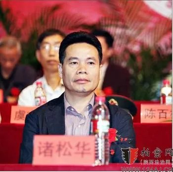 诸松华的人物简介