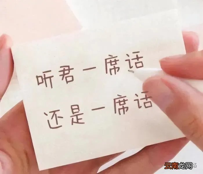 2.0 见识了一只千年神龟 青岛千年神龟