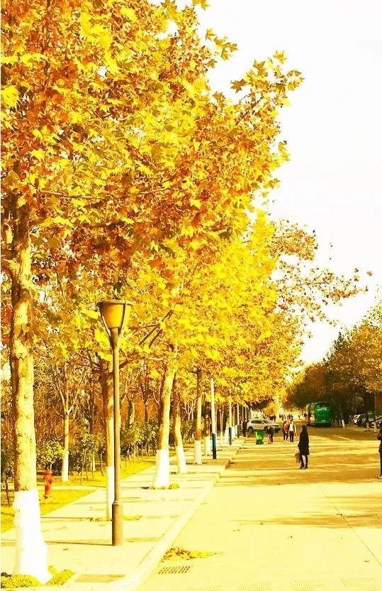 宝鸡一大学生单身21年终脱单，室友拉横幅游校一圈来庆祝，这事你怎么看？