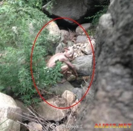 北京怀柔惊现怪兽 真相不日曝光 原来竟然是...