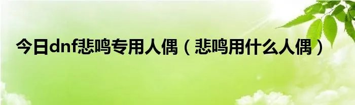 今日dnf悲鸣专用人偶(悲鸣用什么人偶)