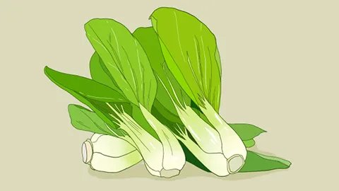 血脂高吃什么食疗