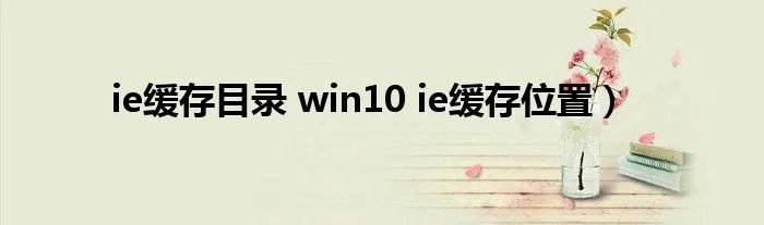 ie缓存目录 win10 ie缓存位置）