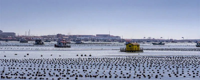 优尔酷是哪个国家的品牌 优尔酷是哪一个国家的品牌