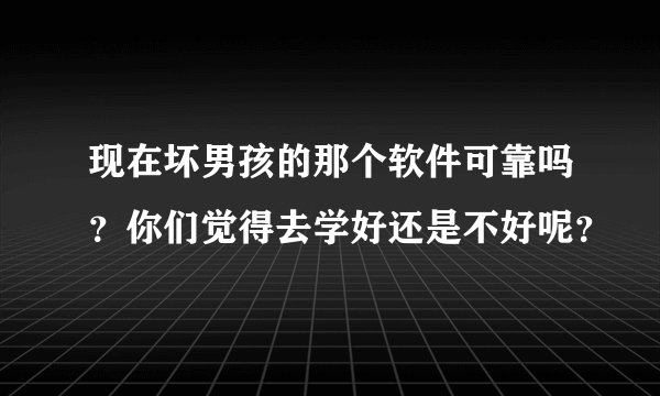 现在坏男孩的那个软件可靠吗？你们觉得去学好还是不好呢？