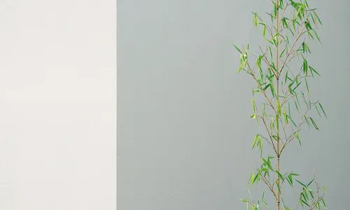 贴墙布好还是刷白墙好