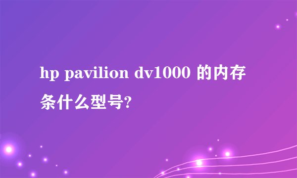 hp pavilion dv1000 的内存条什么型号?