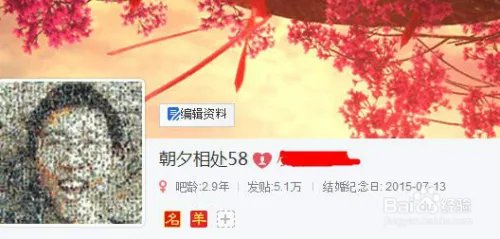 百度贴吧结婚系统如何结婚