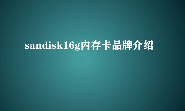sandisk16g内存卡品牌介绍