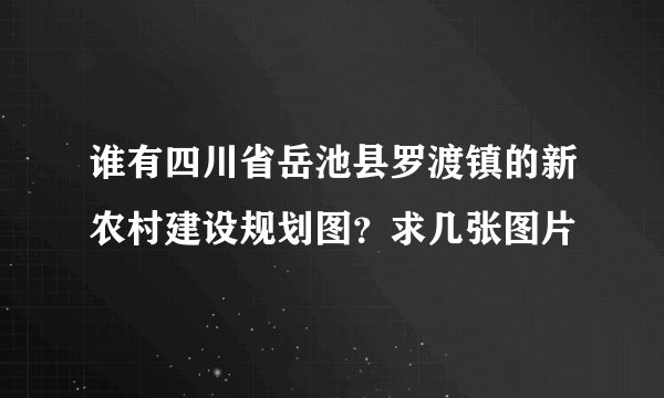 谁有四川省岳池县罗渡镇的新农村建设规划图？求几张图片