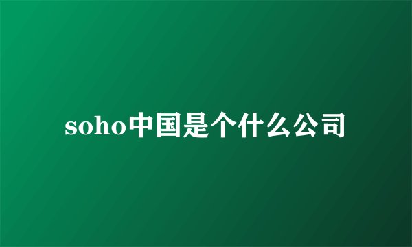 soho中国是个什么公司