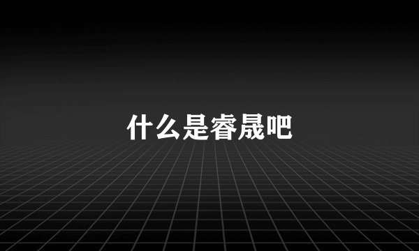 什么是睿晟吧