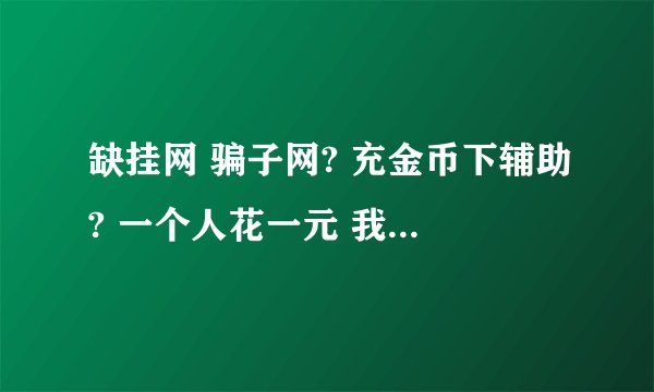 缺挂网 骗子网? 充金币下辅助? 一个人花一元 我花了5元 还有更多 一晚上缺挂网骗了几千元 少说点几千 就是