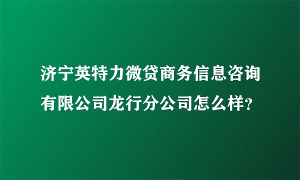 济宁英特力微贷商务信息咨询有限公司龙行分公司怎么样？