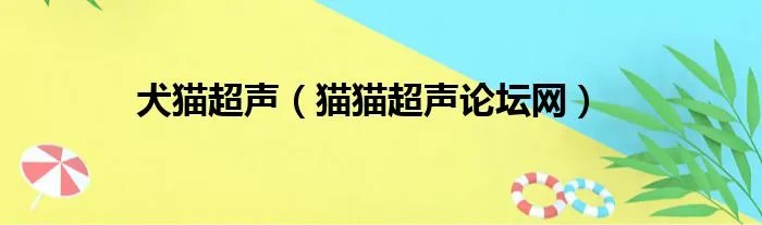 犬猫超声（猫猫超声论坛网）
