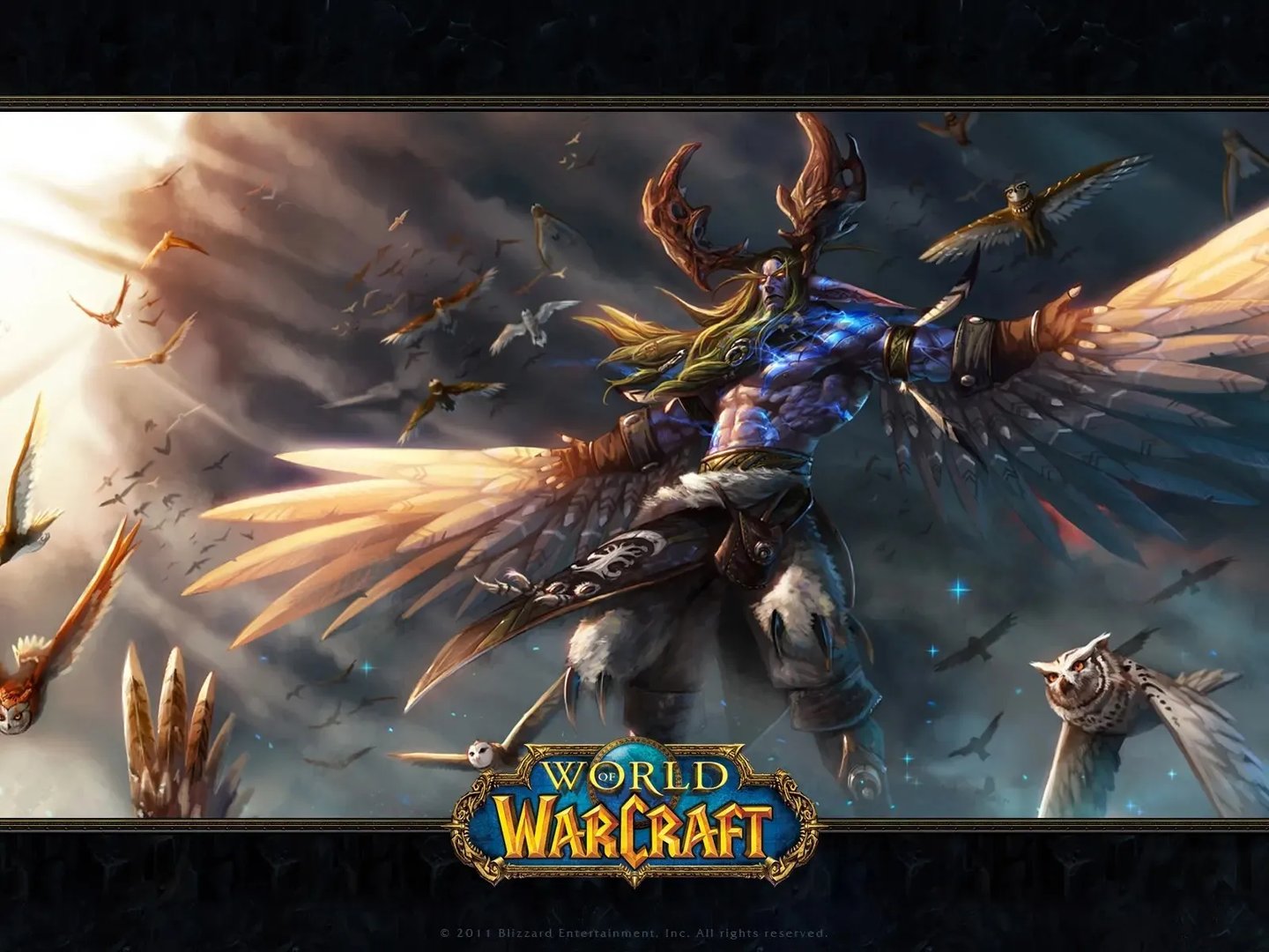 魔兽世界wlk奶德宏大全